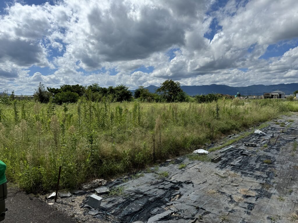 耕作放棄地　防草シート