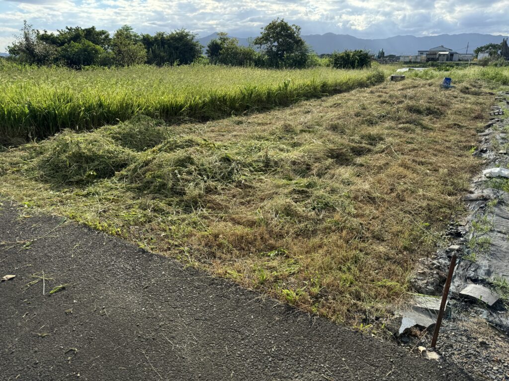 耕作放棄地　防草シート