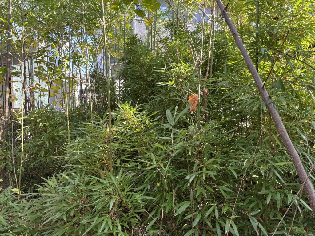 草津市S邸　空き家管理